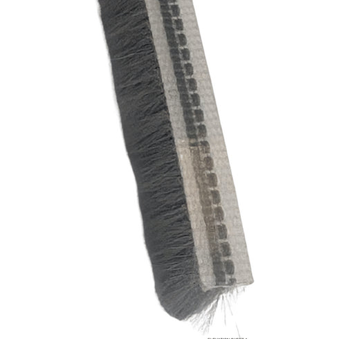 Close-up of a brush strip with bristles on a white background